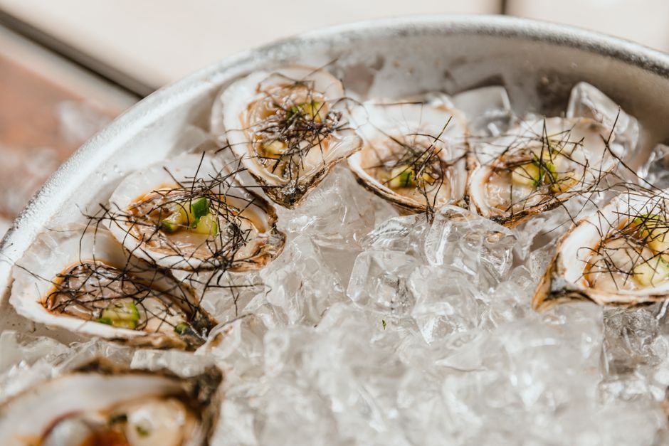 Oyster Shell vs Limestone: Which Feeds Your Hens Better