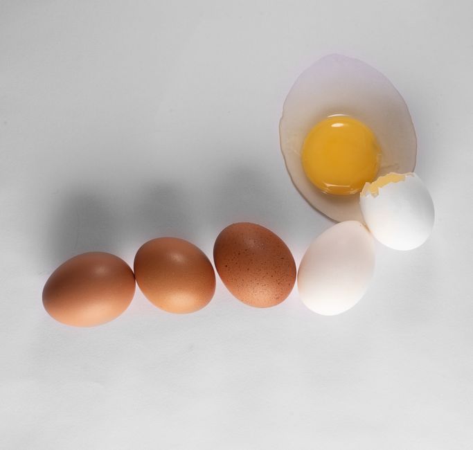 New USDA Egg Label Rules Give Backyard Flocks a Competitive Edge