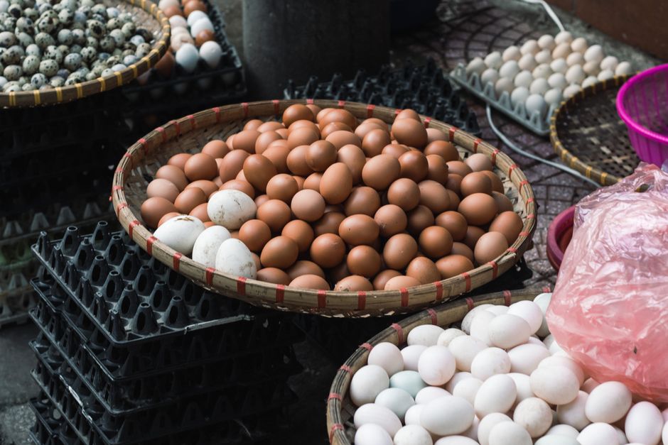 Egg Prices Crashed 39%: Is Your Backyard Flock Still Worth It?