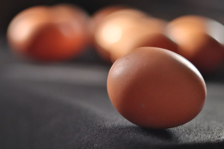 Why Maran Chickens Are Backyard Gold