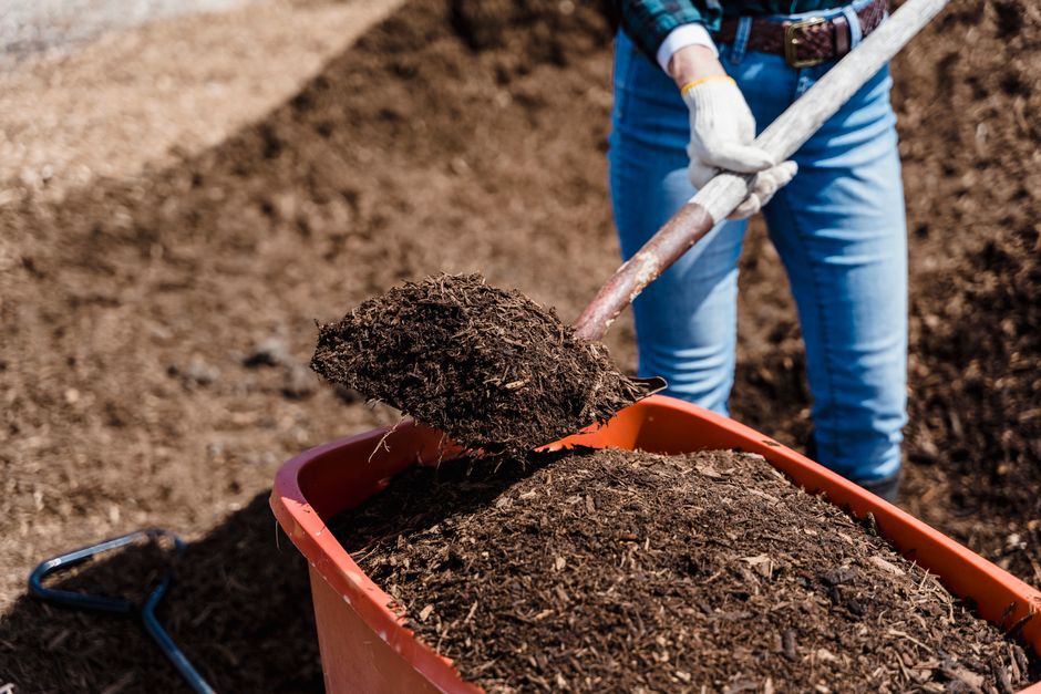 Turn Your Chicken Coop Waste Into Garden Gold